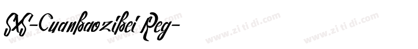 SXS-Cuanbaozibei Reg字体转换
